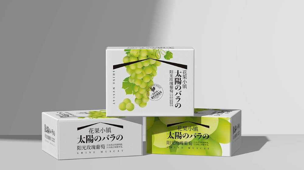 包裝的品類有哪些？.png